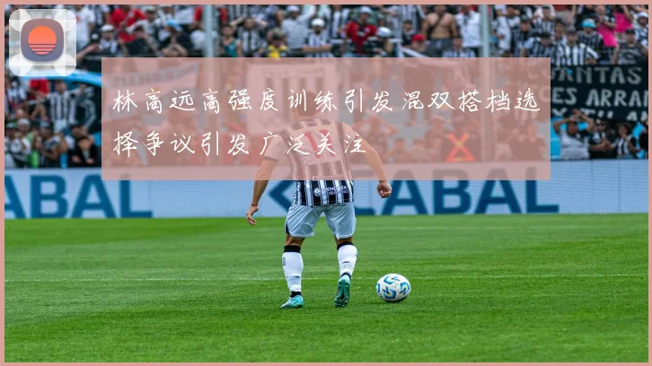 林高远高强度训练引发混双搭档选择争议引发广泛关注